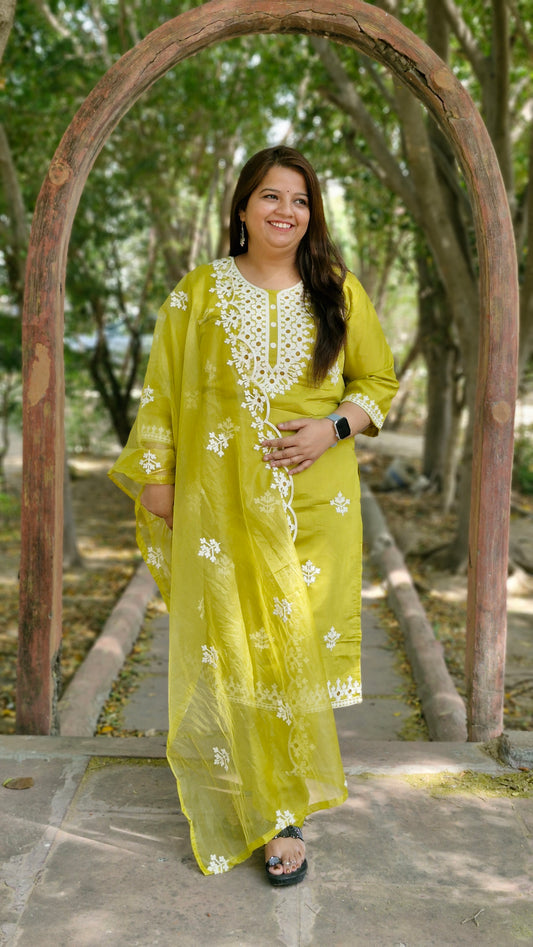Sunny Lime Dola Silk Embroidered Suit Set